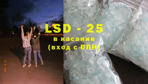 индика Алзамай