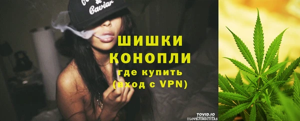 индика Алзамай