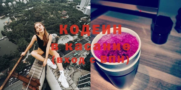 индика Алзамай
