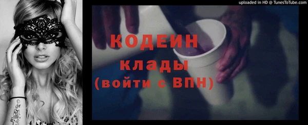 индика Алзамай